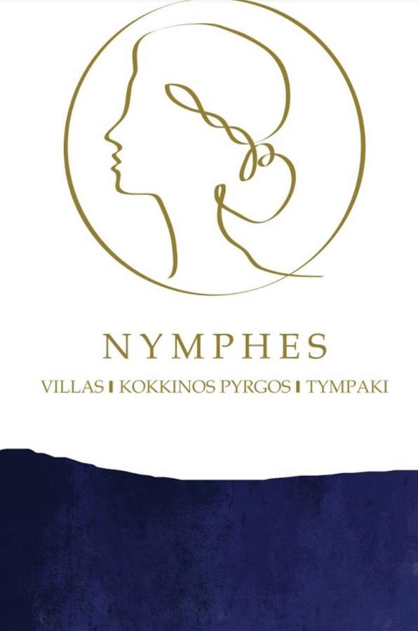 Dione Villa Kokkinos Pyrgos Eksteriør bilde
